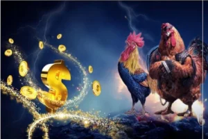 Hướng Dẫn Cách Chơi Đá Gà Sabong Tại MMlive: Khám Phá Thú Vị