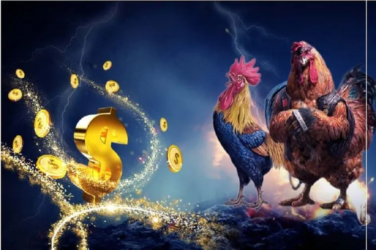 Hướng Dẫn Cách Chơi Đá Gà Sabong Tại MMlive: Khám Phá Thú Vị