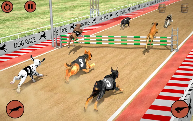 Hướng Dẫn Chơi Game Nhanh Đua Chó Tại MMlive: Bí Quyết Thắng Lớn 2 Hướng Dẫn Chơi Game Nhanh Đua Chó Tại MMlive: Bí Quyết Thắng Lớn