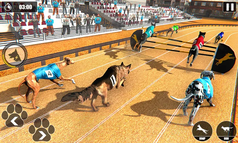 Hướng Dẫn Chơi Game Nhanh Đua Chó Tại MMlive: Bí Quyết Thắng Lớn